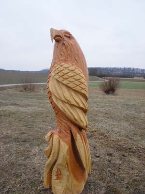 Adler sitzend - Eiche D