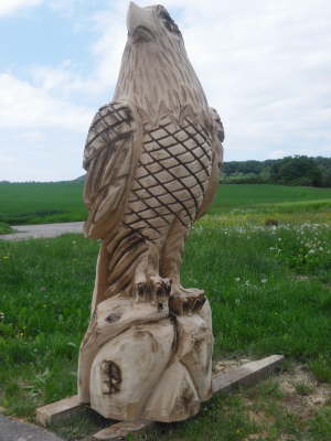 Adler sitzend - Eiche E