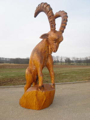 Steinbock A 06