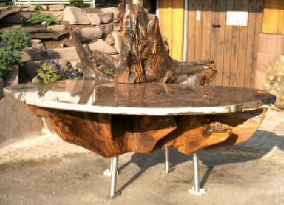 Wurzel - Tisch